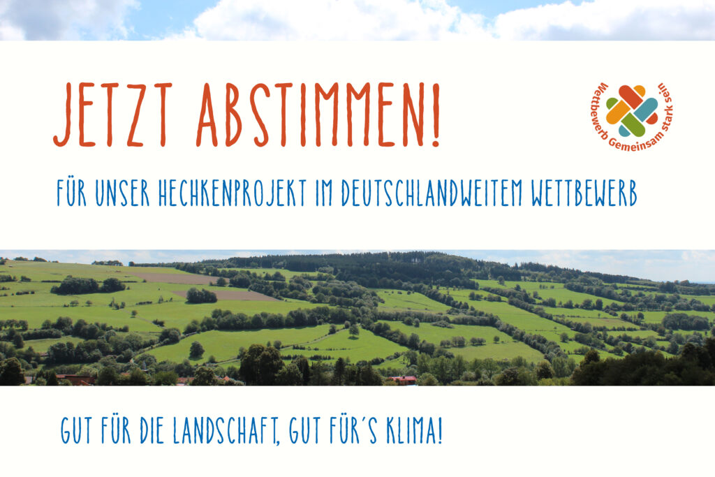 Read more about the article Gemeinsam ausgeheckt – Das „Heckenprojekt“ – Jetzt abstimmen