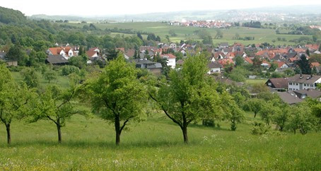 Mehr über den Artikel erfahren 20. Oktober: Beim Tag der Regionen gemeinsam regional denken