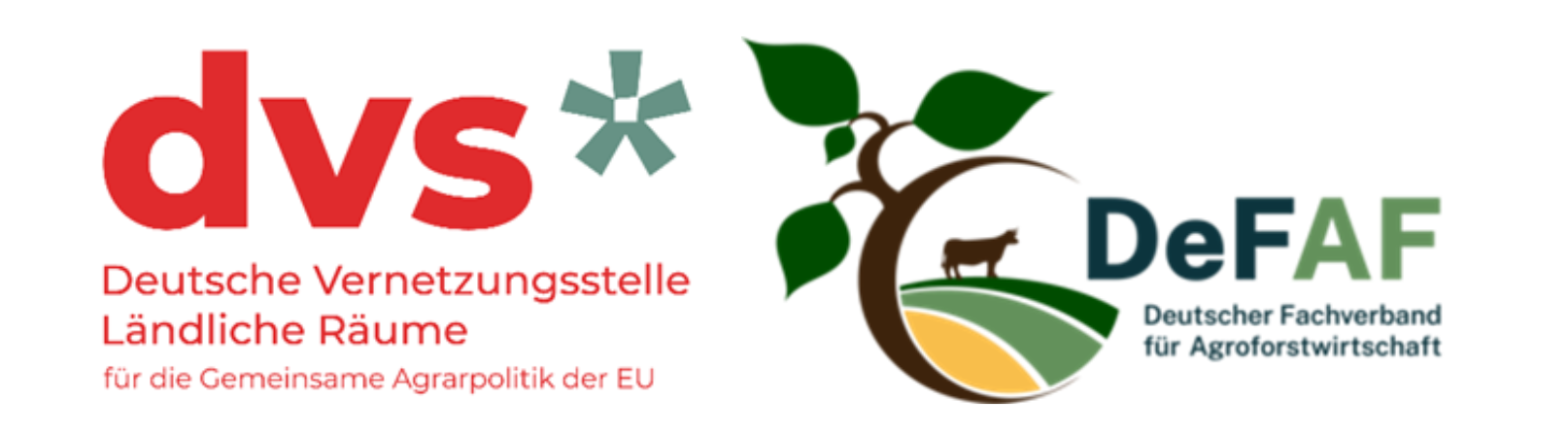 Design ohne Titel (1)