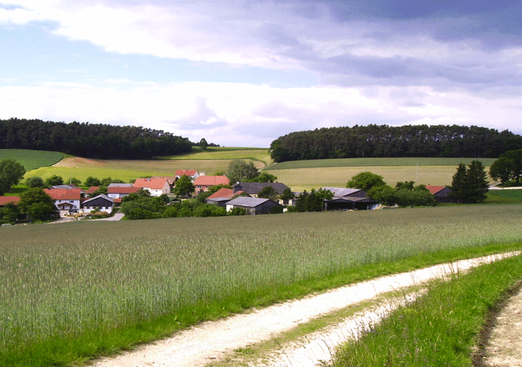 Mehr über den Artikel erfahren Spazierwanderregion GießenerLand – Umsetzung von zertifizierbaren Wanderwegen im Landkreis Gießen